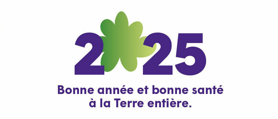 Bonne année 2025